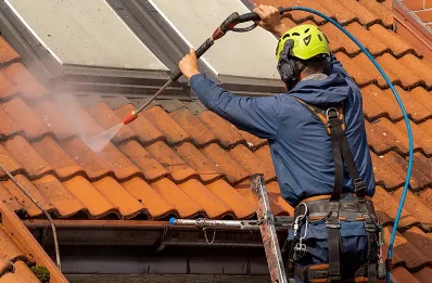 Démoussage et hydrofuge de toiture à Tauriers